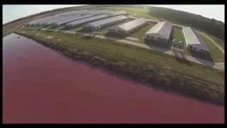 Spy Drones Expose Smithfield Foods Factory Farms