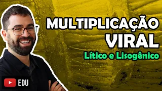 Multiplicação Viral: Lítico e Lisogênico - Aula 02 - Módulo IV: Microbiologia, Fungos e Protistas