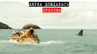 Акула Людоед пытается достать раненую девушку  с  островка . Что с ней будет дальше?
