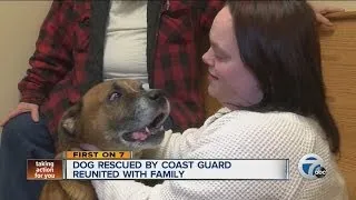 Dog rescued by Coast Guard reunited with family