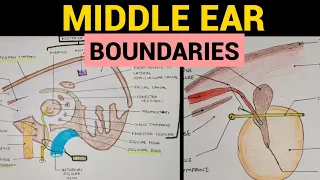 Middle Ear Anatomy - 2 | Boundaries