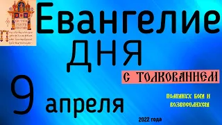 Евангелие дня с толкованием 9 апреля 2022 года