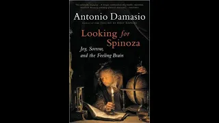 Looking For Spinoza: Joy, Sorrow, and the Feeling Brain