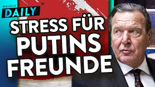 Für Ex-Kanzler Schröder & AFD wirds jetzt eng! | WALULIS DAILY