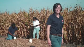 A Day in the Life of Scientist Laura Christianson - agronomist and water quality engineer