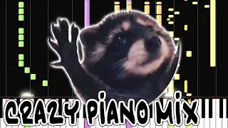 Crazy Piano Mix! PEDRO [Raffaella Carra] Jumping Raccoon Meme