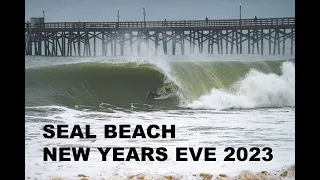 SEAL BEACH CORY SAVES A DOG FROM THE BIG WAVES DEC 31 2023