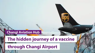 The hidden journey of a vaccine through Changi Airport