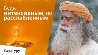 Чтобы познать жизнь, стань как кобра