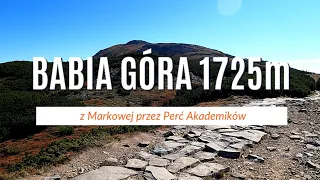 Babia Góra (Diablak) latem z Zawoi Markowa (opis szlaku)