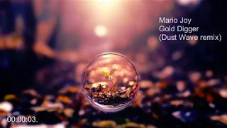 Mario Joy - Gold Digger (Dust Wave remix)