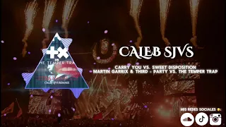 Martin Garrix & Third Party vs.The Temper Trap - Carry You Vs Sweet Disposition (Caleb Sjvs Mashup)