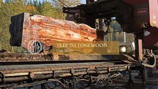 TREE TO TONEWOOD: About Us // Pacific Rim Tonewoods