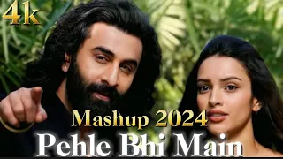 Pehle Bhi Main Mashup 2024 ~ Vishal Mishra Mashup | Naseeb Se , Maahi  & Emraan Hashmi Mashup