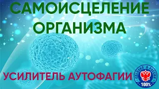 Усилитель аутофагии. Самоисцеление организма. Продление жизни и защита от старения. Препарат ФАГОВИТ