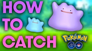 HOW TO CATCH *DITTO* in POKEMON GO? (DECEMBER 2021)