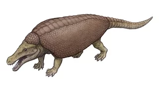 Paleo Profile - Armadillosuchus