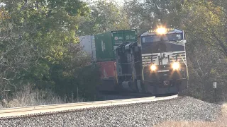 11/7/2021 - Short NS Intermodal Train at Hoffman, IL
