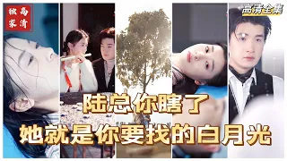 [MULTI SUB] 💕✨她在他最无助的时候伸出了手，在他生命危急的时候给了他眼角膜自己却成了盲人，可他恢复视力后却百般虐她！陆总，她就是你要找的白月光啊！#短剧 #drama