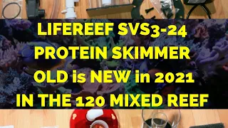 LIFEREEF SVS3-24 PROTEIN SKIMMER (OLD IS NEW IN 2021, IN THE 120 MIXED REEF)