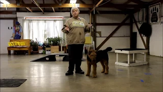 Remy Lesson 2   Practical Obedience