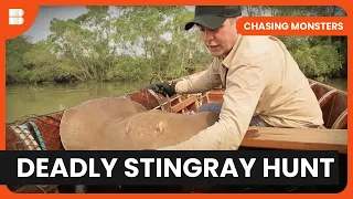 Venomous Stingray Encounter - Chasing Monsters - S02 EP08 - Nature & Adventure Documentary