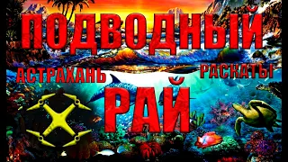 Подводная охота 🔥 на базе Подводный рай - лучшее место где я был Астрахани  охота в раскатах