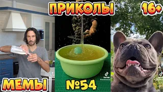 15 МИНУТ СМЕХА ДО СЛЁЗ | ЛУЧШИЕ ПРИКОЛЫ | ВЗРОСЛЫЙ ЮМОР l TikTok УГАР l #54