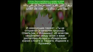 Коран Сура Ар Рад | 13:43 | Чтение Корана с русским переводом| Quran Translation in Russian