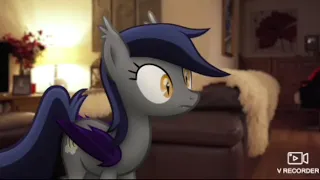 MLP: When Life Gives You Mangoes