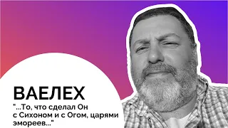 👑👺 Ваелех 5783. "...То, что сделал Он с Сихоном и с Огом, царями эмореев..." | Давид Симановский