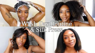 UPDATED WASH DAY ROUTINE | Braid Take Down, Wash & Silk Press with Chi Products | Chavi Allie