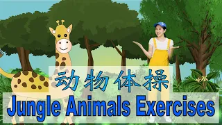 Jungle Animals Workout and Exercise in Chinese⎮Morning Exercise for kids in Chinese⎮儿童动物舞⎮动物体操歌