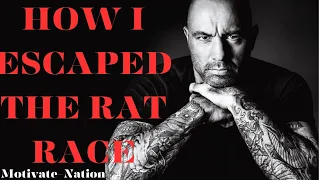 ESCAPE THE RAT RACE - Best Motivational Speech Video (Joe Rogan Motivation)