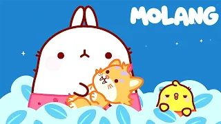 NEW CARTOON 新しい漫画 🐾 Molang 🐰 THE SABER TOOTH KITTEN 🐅 子供向けアニメ Cartoon For Kids ⭐ Super Toons TV アニメ