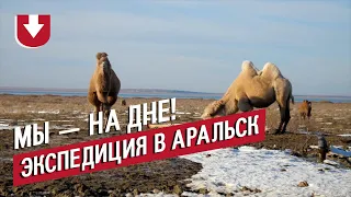 Это — дно! Как наша экспедиция побывала в Аральске и что там увидела