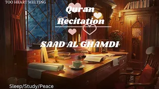 Para 6 | Qari Saad Al Ghamdi | Peaceful Recitation | Quran Recitation