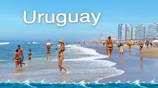 4K VIDEO BEACH WALK 2021 Brava Beach URUGUAY Travel vlog HDR