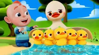 Five Little Ducks + Wheels On The Bus - Nursery Rhymes | Rosoo Kids Song
