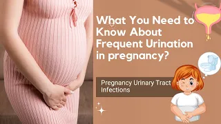 Understanding Frequent Urination in Pregnancy. Pregnancy Early Signs.