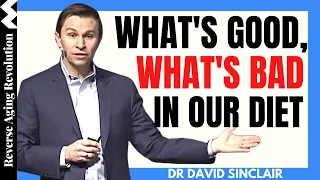 What’s BAD And What’s GOOD In OUR DIET | Dr David Sinclair Interview Clips