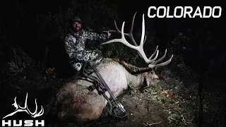 COLORADO OTC ARCHERY ELK HUNT and FATHER SON ANTELOPE HUNT | S2EP32