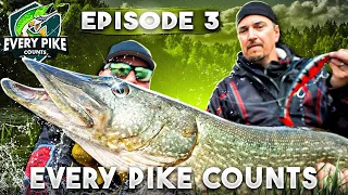 EVERY PIKE COUNTS 2023 with Happy Angler | Episode 3 [ENG SUB]