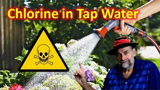 Is Chlorine and Chloramine in Tap Water Harmful to Plants?