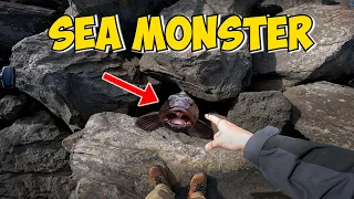 Real Sea Monster Sends Me to the Hospital!