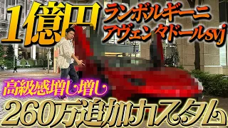 【爆炎走行動画あり】1億円のランボルギーニに追加で260万円課金してみた。