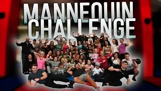 Fitness mannequin challenge - Фитнес манекен челлендж