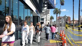 "Hollywood Boulevard Stroll: Uncovering the Glitz and Glamour"