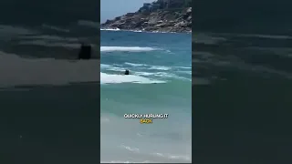 Seal attacks a child on the beach #shorts