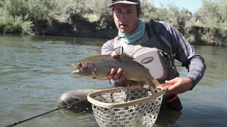 Eastern Sierra | Summer Fly Fishing